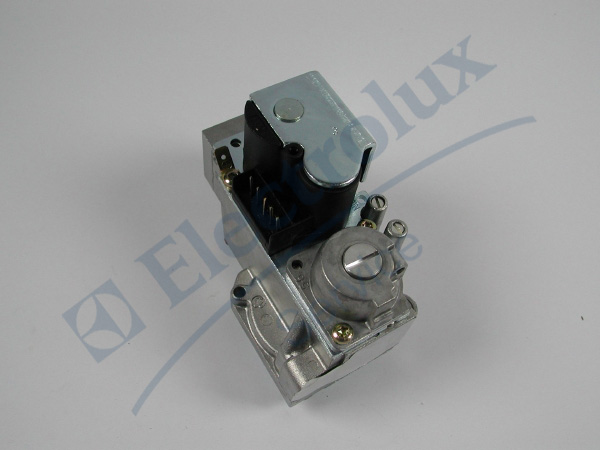 Gaz Valfi 1-2 220V, 487143720