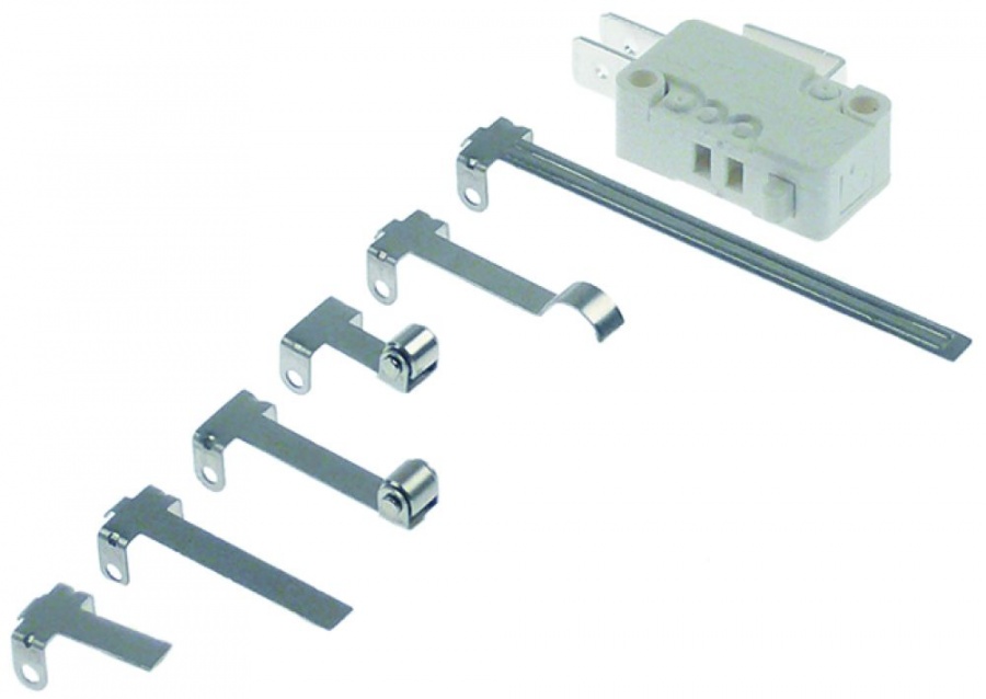 MİCROSVİÇ - 1CO