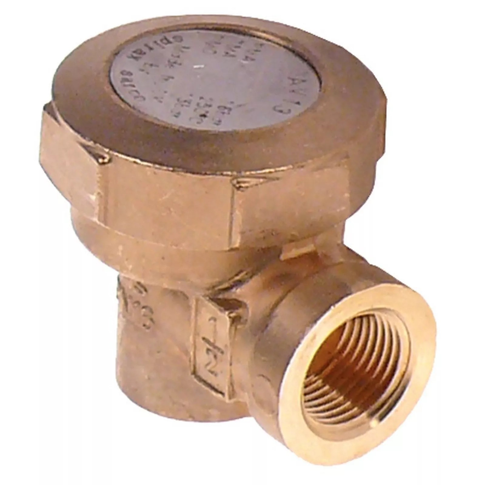 Termostatik-Buhar-kapanı-1/2"-16 bar-AV13-LAITON